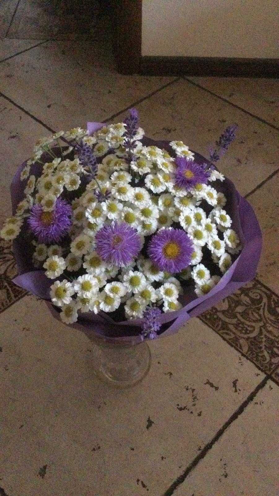 Маруна дівоча (матрікарія, пижмо)