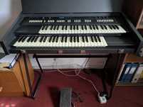 Teclado Fesma Midi F-210