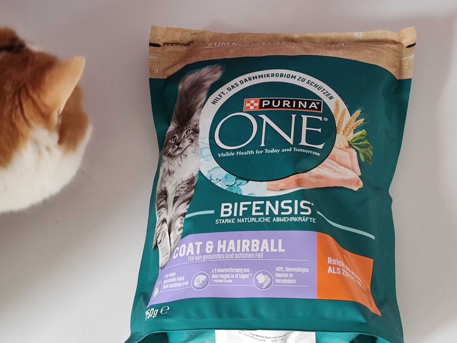 Purina ONE Coat & Hairball (11 opakowań) karma dla kota sucha