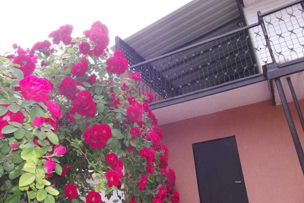 Agroturystyka nad Bugiem blisko Okuninka Poleski Park nocleg