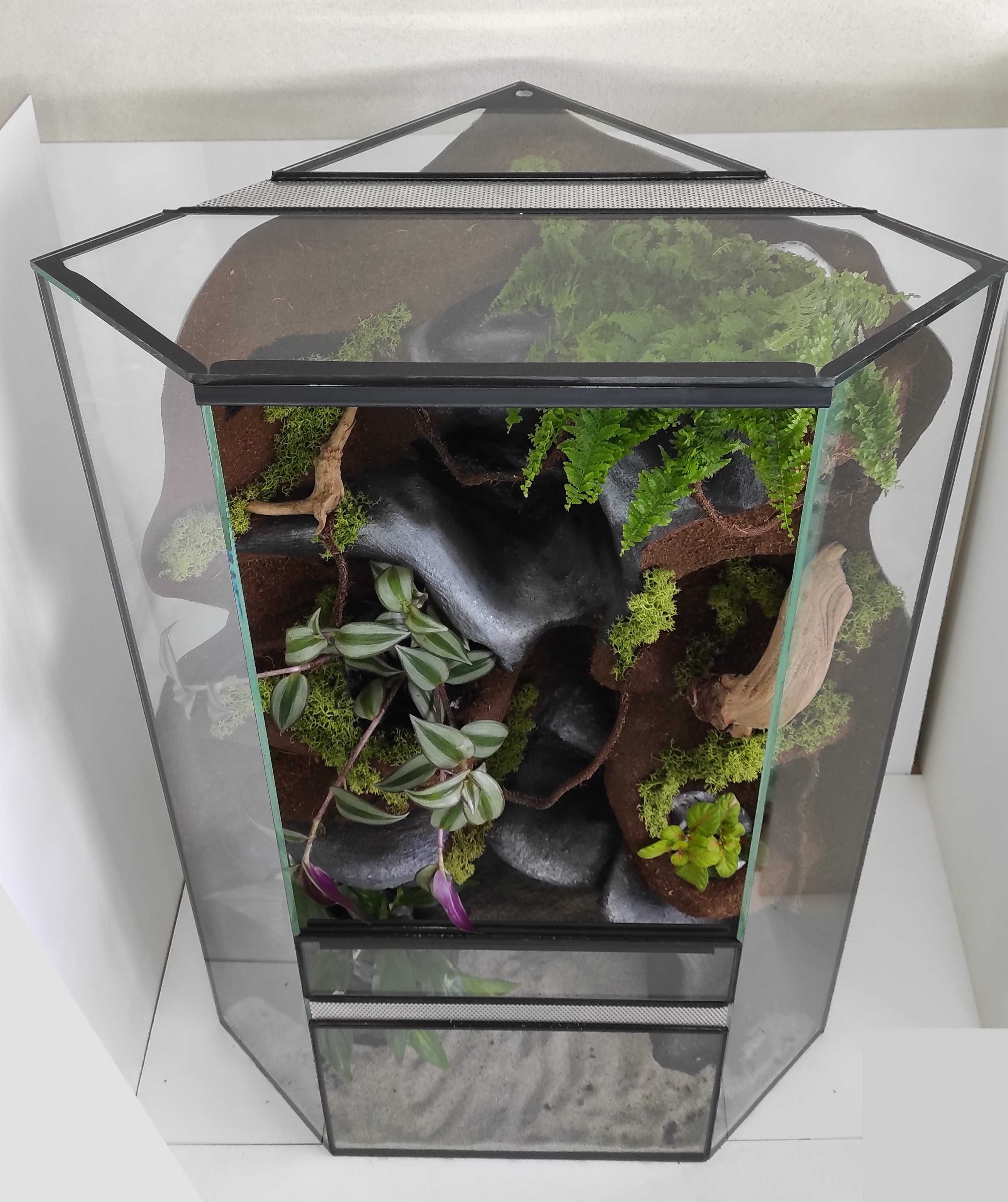 Terrarium, paludarium narożne z wodospadem i roślinami PN01W AquaWaves