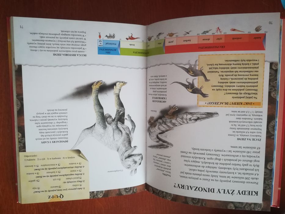 Encyklopedia pytań i odpowiedzi
