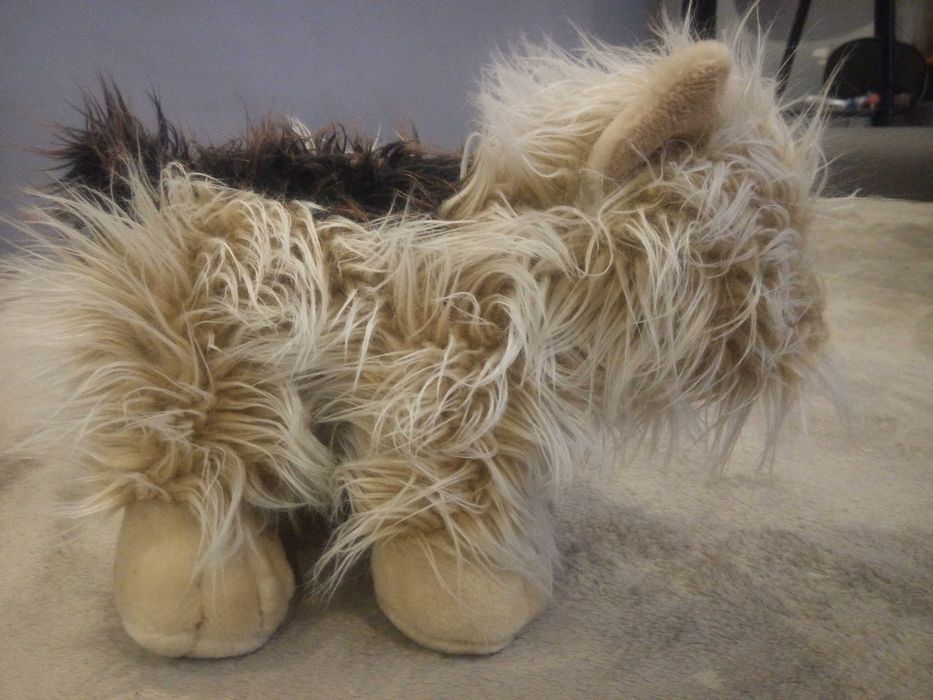 pies kudłaty pluszak