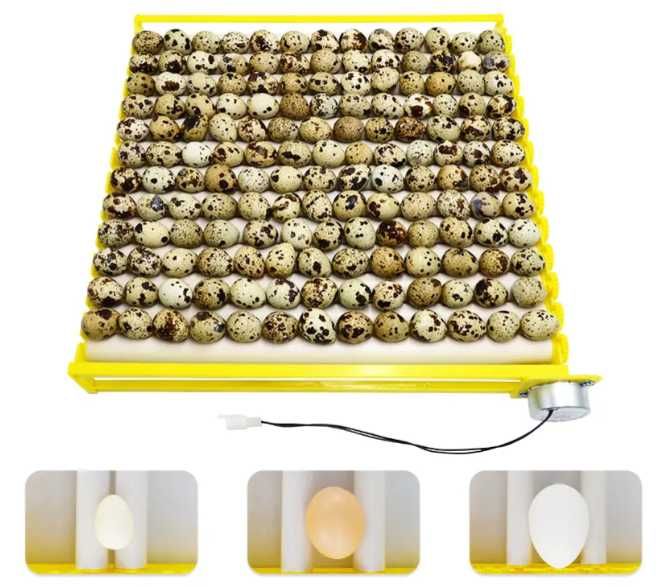 Tabuleiros Rolantes P/ Chocadeiras de Ovos de Várias dimensões Novos