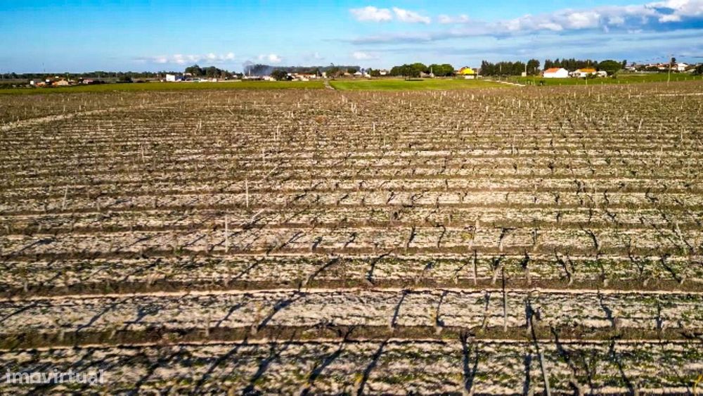 Sto. Isidro de Pegões, Palmela - Prédio Rústico com 60200 m2 com plant