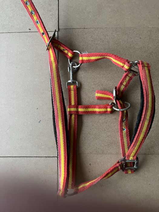 Cabeção usado em bom estado