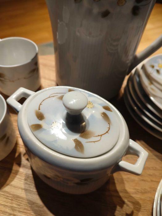 Porcelana C.T Altwasser Silesia