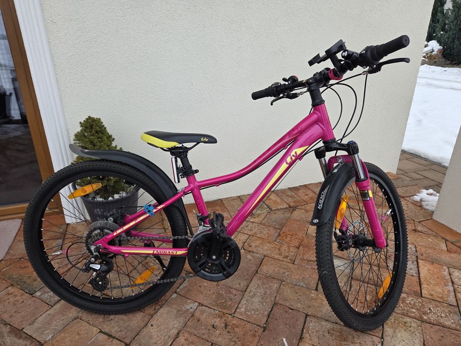 Rower dziecięcy LIV Enchant 1 Disc koło 24 Różowy Giant