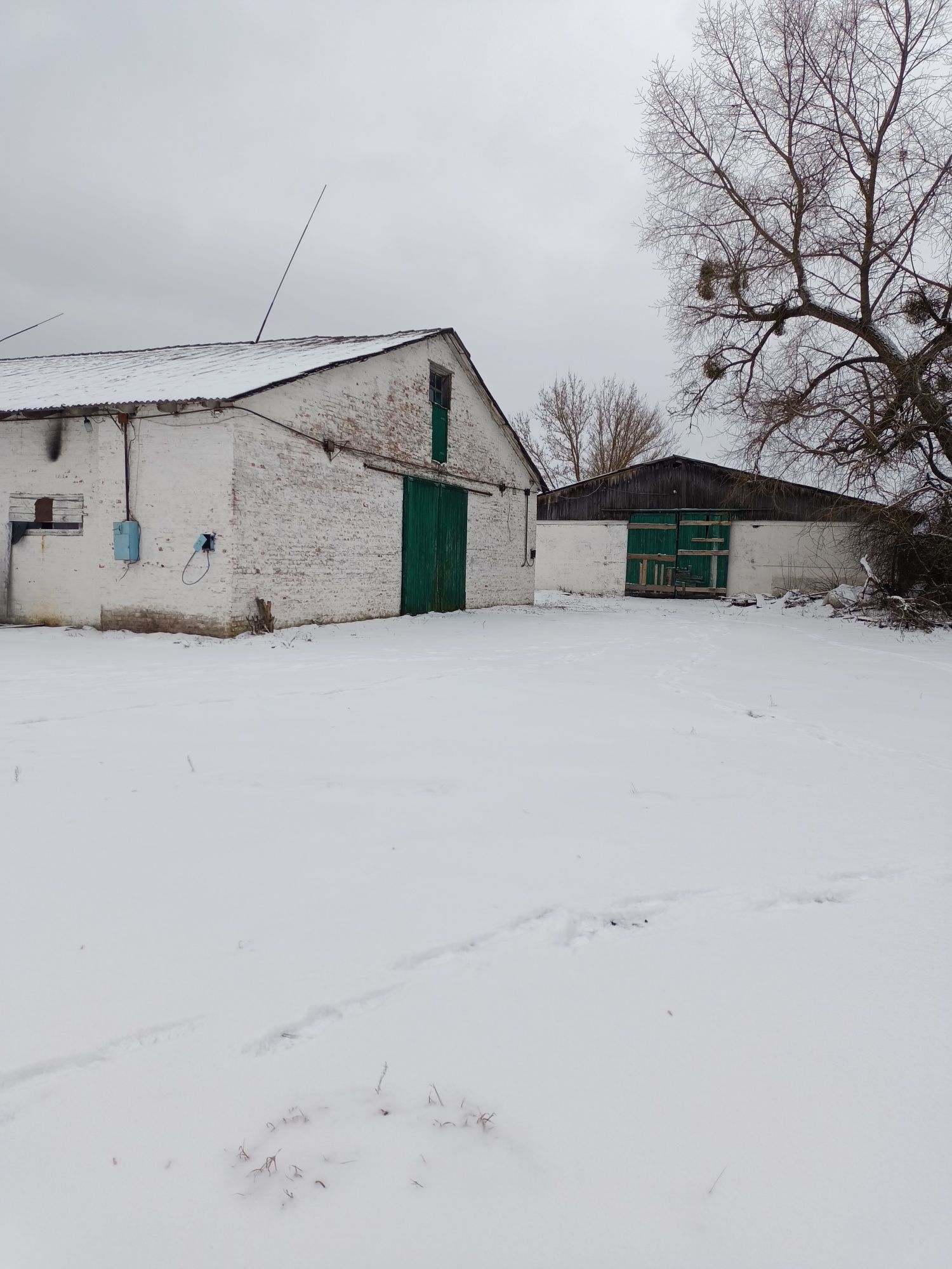 Зерносклади, комори з площадками для сушіння, с. Сушки