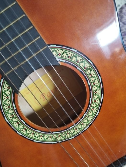 Viola parrot bem estimada