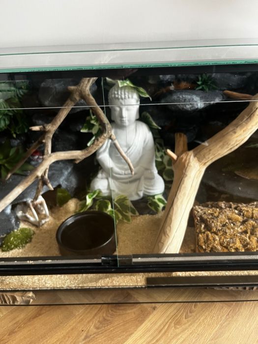 Terrarium z lokatorem