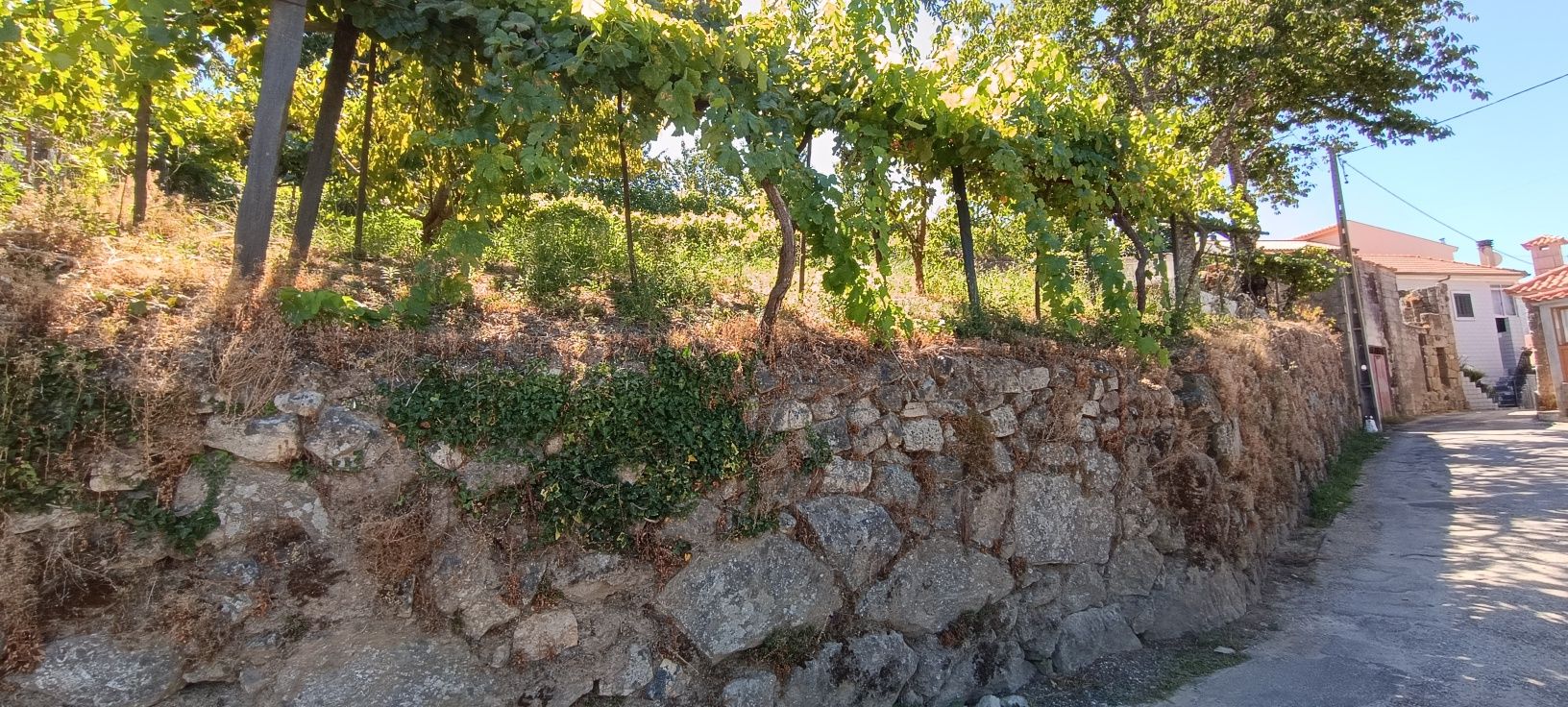 Terreno para venda