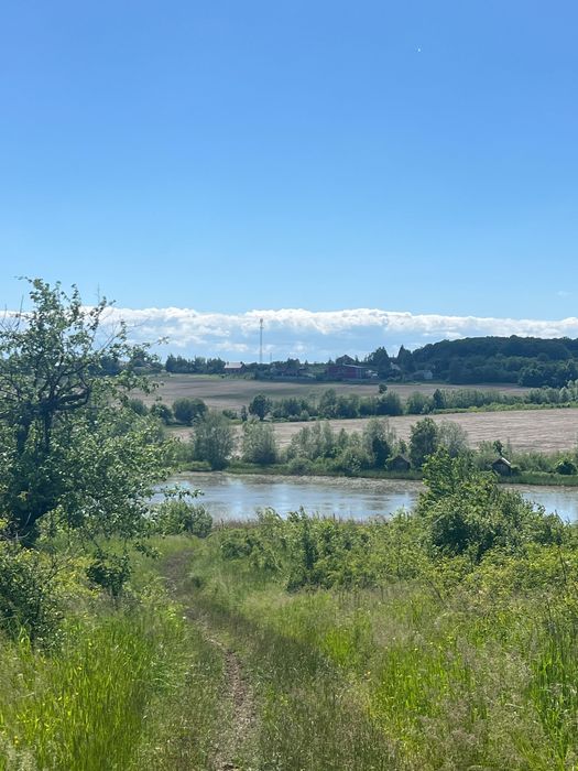 Земельна ділянка (пай)