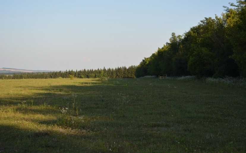 Земля дача участки с. Сокіл берег Дністра Н