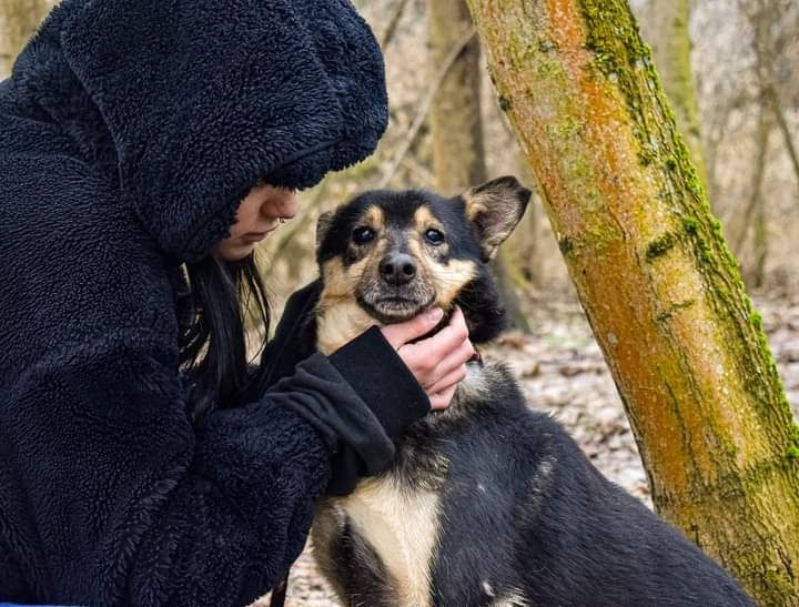 Poznajcie Śliwka, który na nowo zaufał człowiekowi...