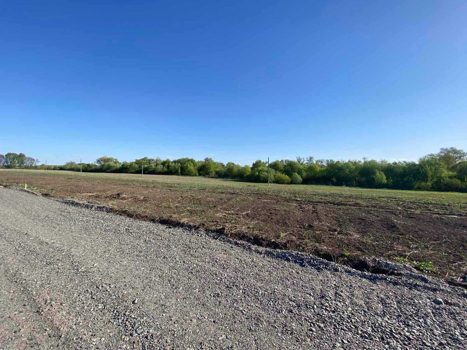 Продаж земельних ділянок під житл. забудову, 5 соток, Тяжилів, Костел