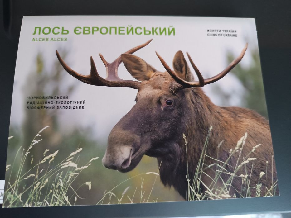 Обмін монети Лось або Мешканці морських глибин на Рись Евразійська