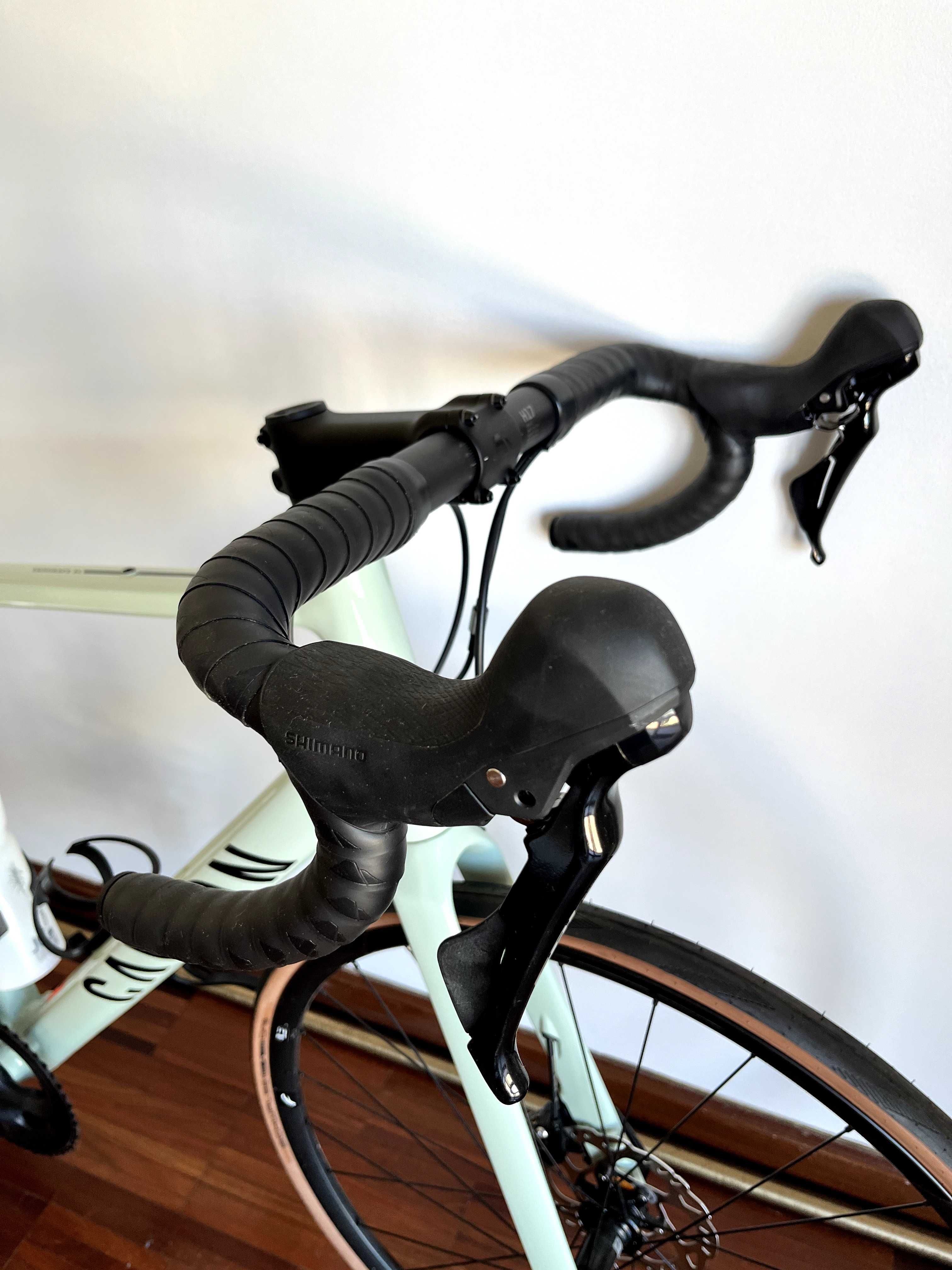 Bicicleta Canyon Endurance AL R074
