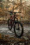 Canyon spectral cf 7.0 2018