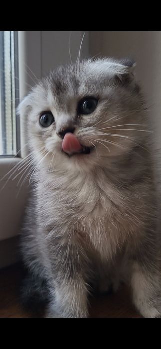 2 хлопчика   золотий и серебро