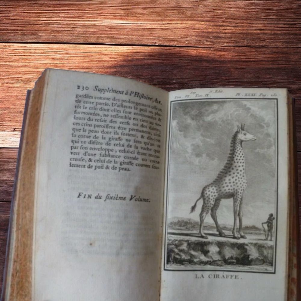 Zwierzeta Buffon 1777 miedzioryty
