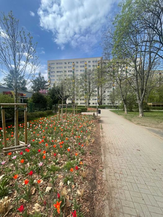 Mieszkanie 3 pokojowe Mokotów ulica Bokserska bezpośrednio urządzone
