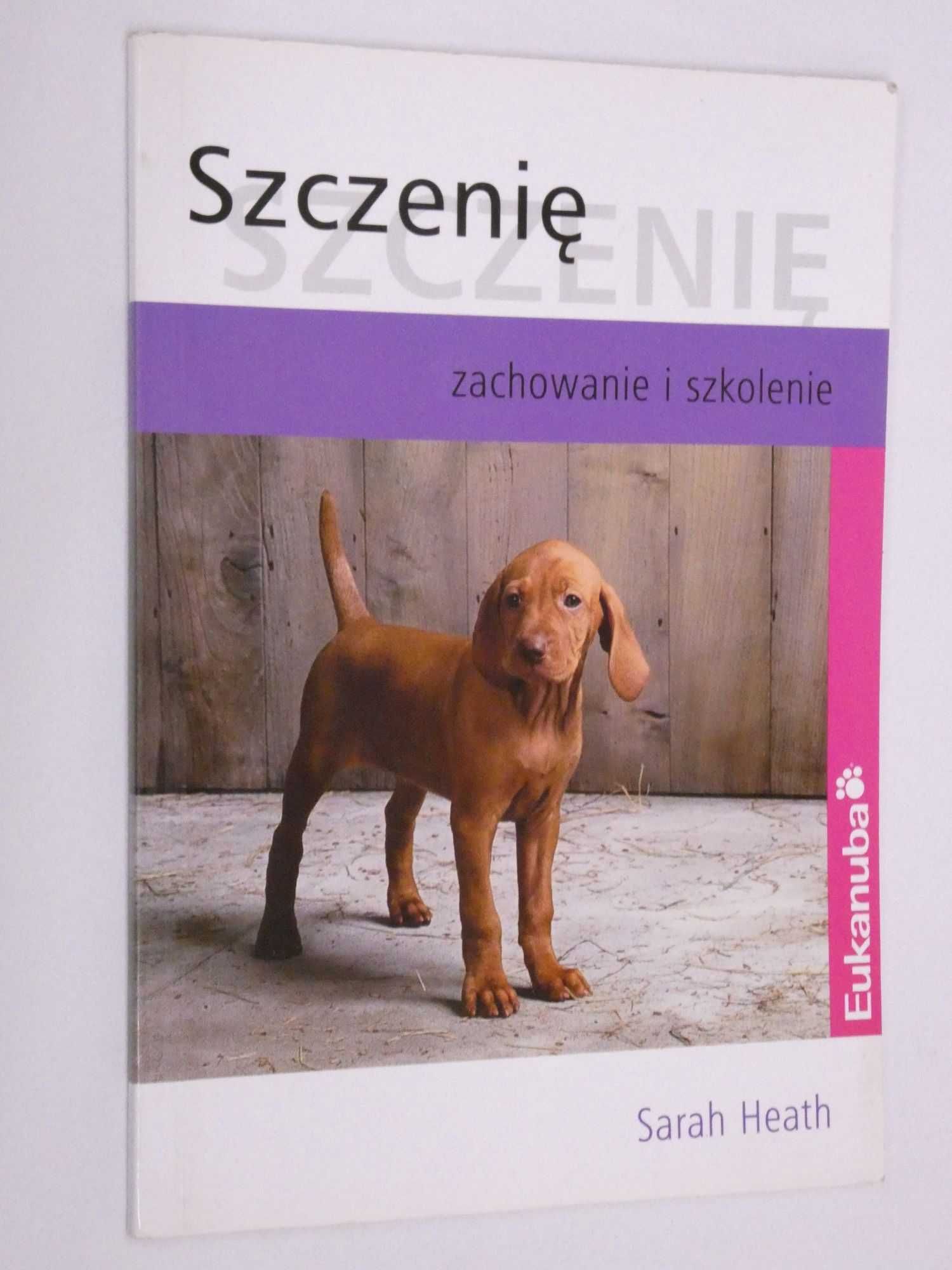 Szczenię zachowanie i szkolenie