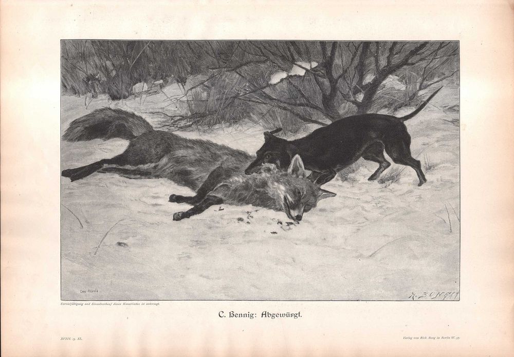 Hennig: Polowanie na lisa. Drzeworyt myśliwski 1903 r. oryginał