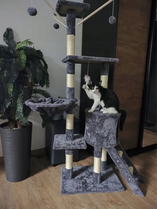 Drapak dla kota wysoki stabilny NOWY