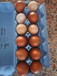 Ovos caseiros peru pato e galinha
