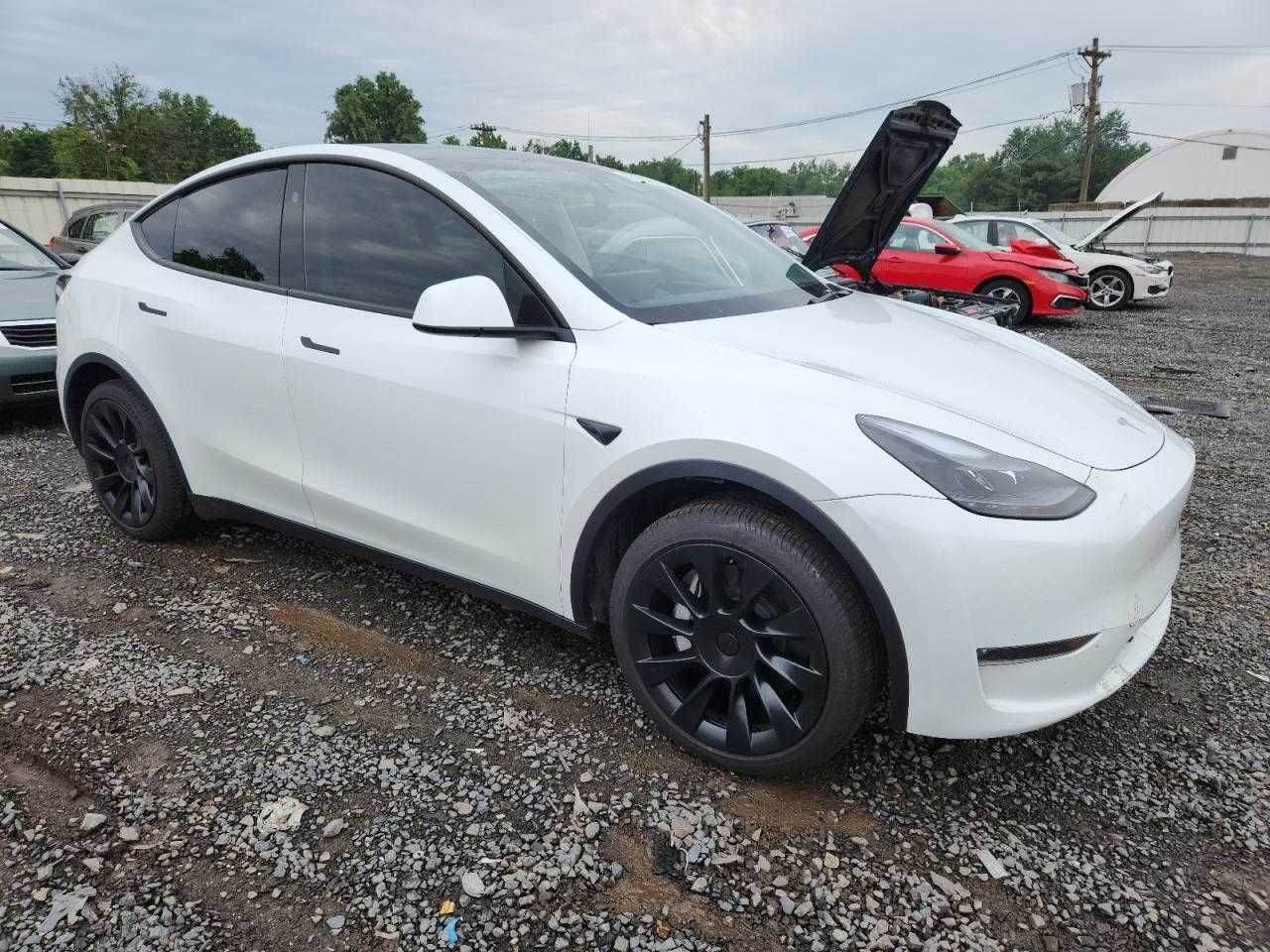 2025 Tesla Model Y Long Range
