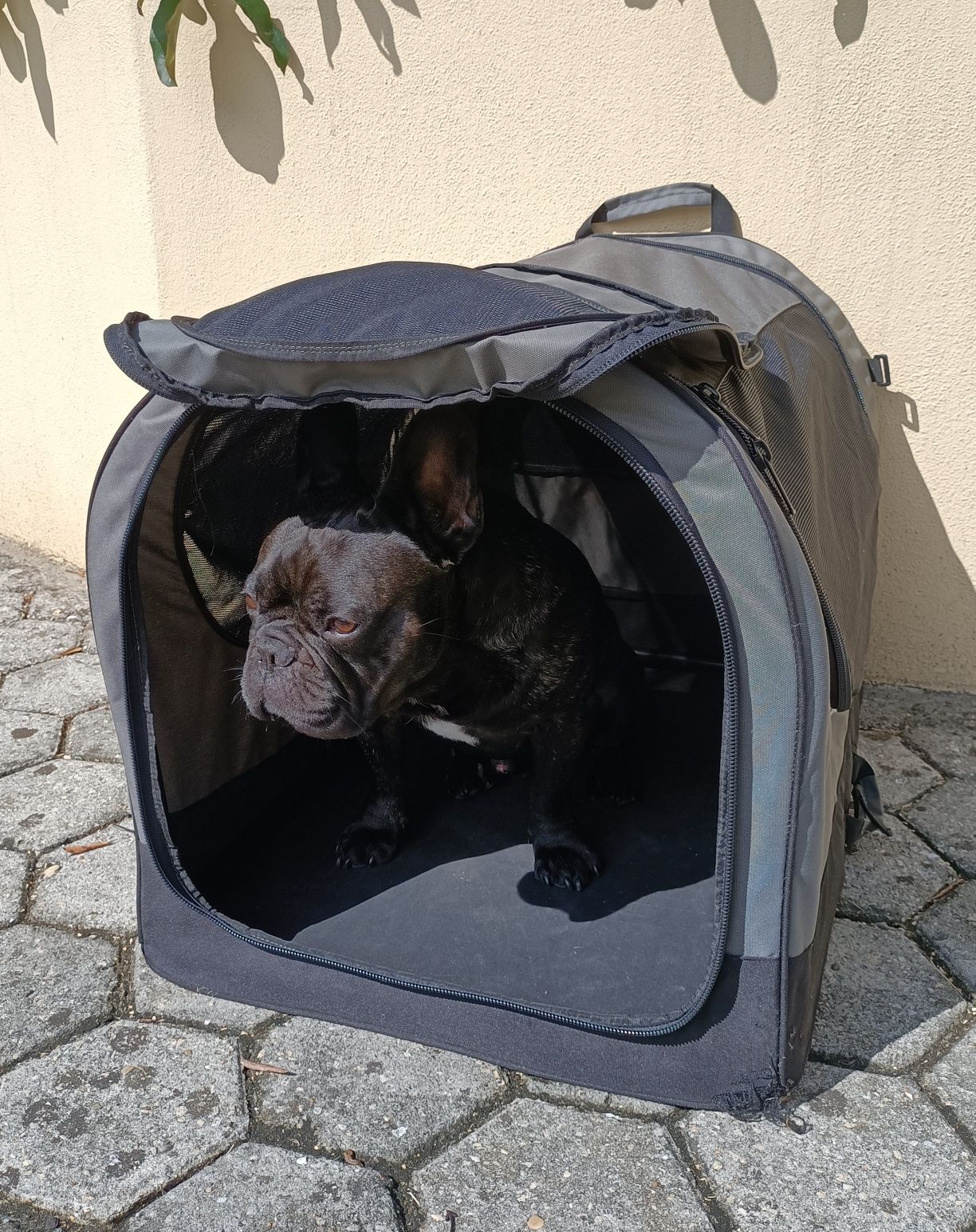 Casota média para cão