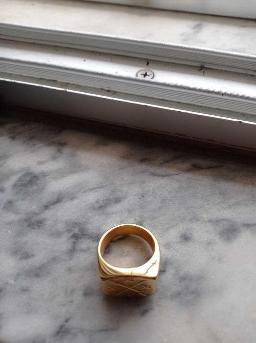 Anéis novos (aço inoxidável primeira qualidade)