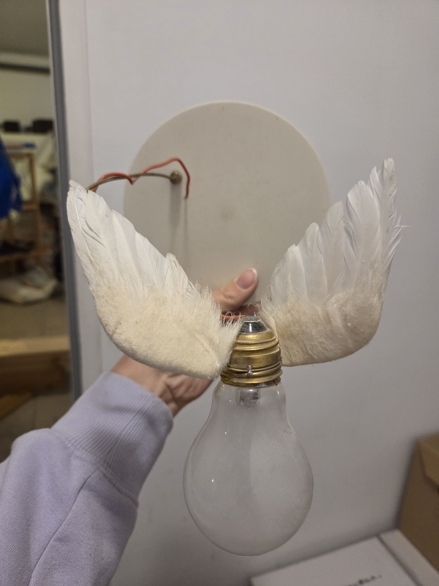 Lampa Ingo Maurer Lucellino lampa ścienna kinkiet