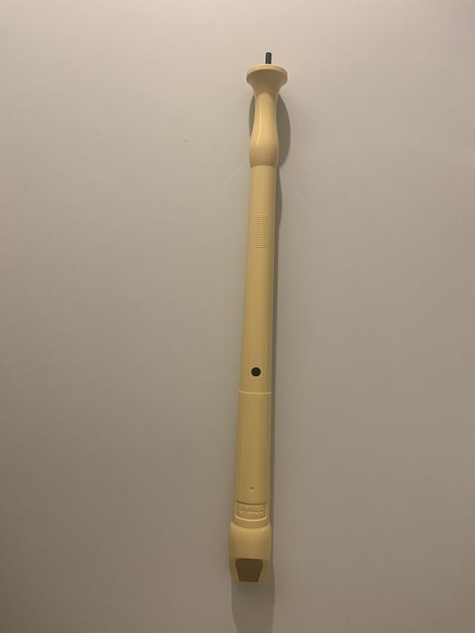 Flauta com limpador e capa