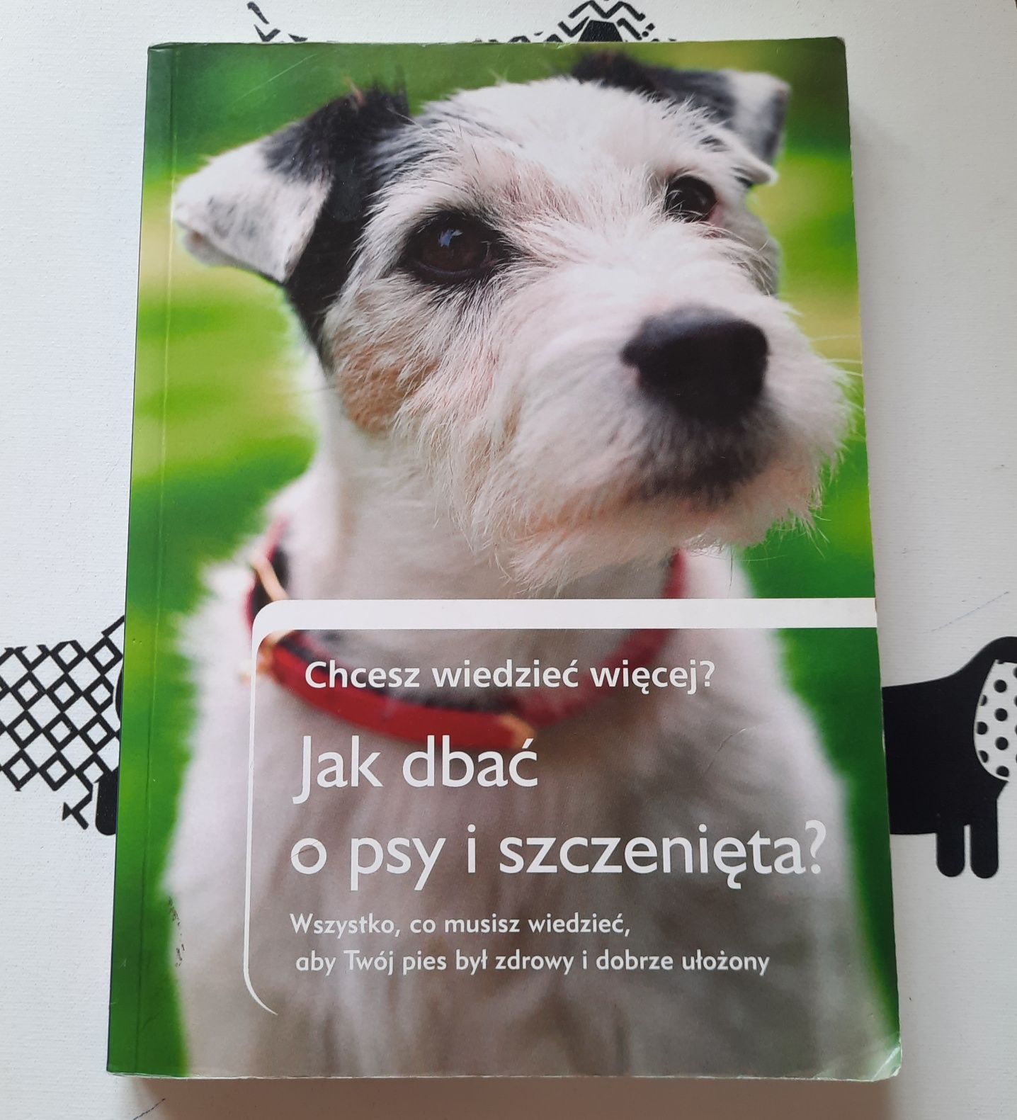 Książka Chcesz wiedzieć więcej? Jak dbać o psy i szczenięta