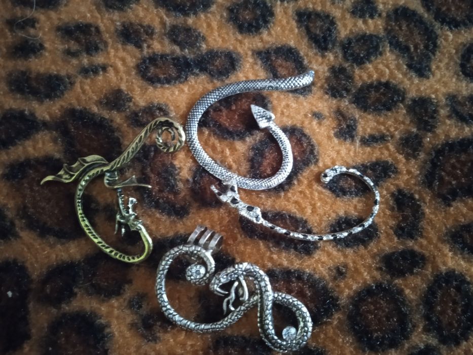 Сережки в виде дракона