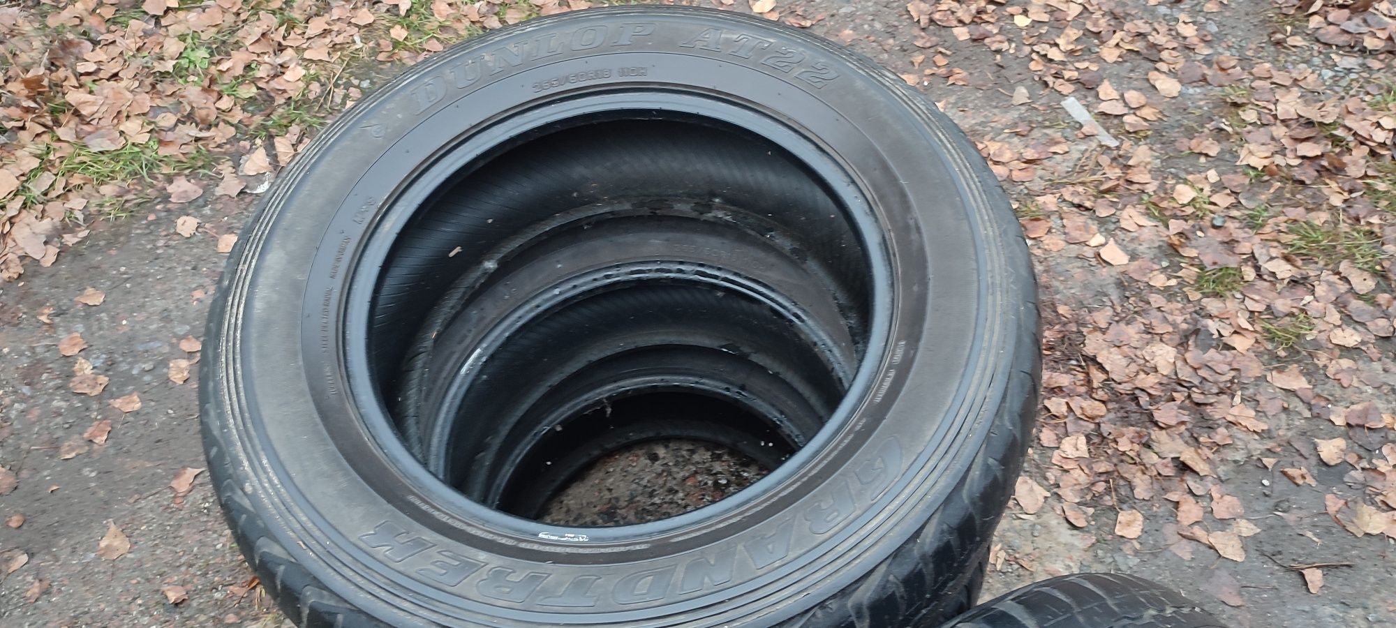 Шини всесезоні  Dunlop 265/60R18  110H AT22