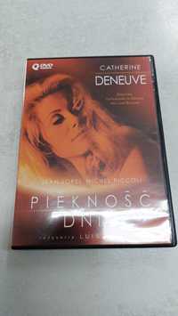 Piękność dnia. Dvd