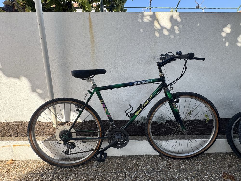 Bicicleta adulto