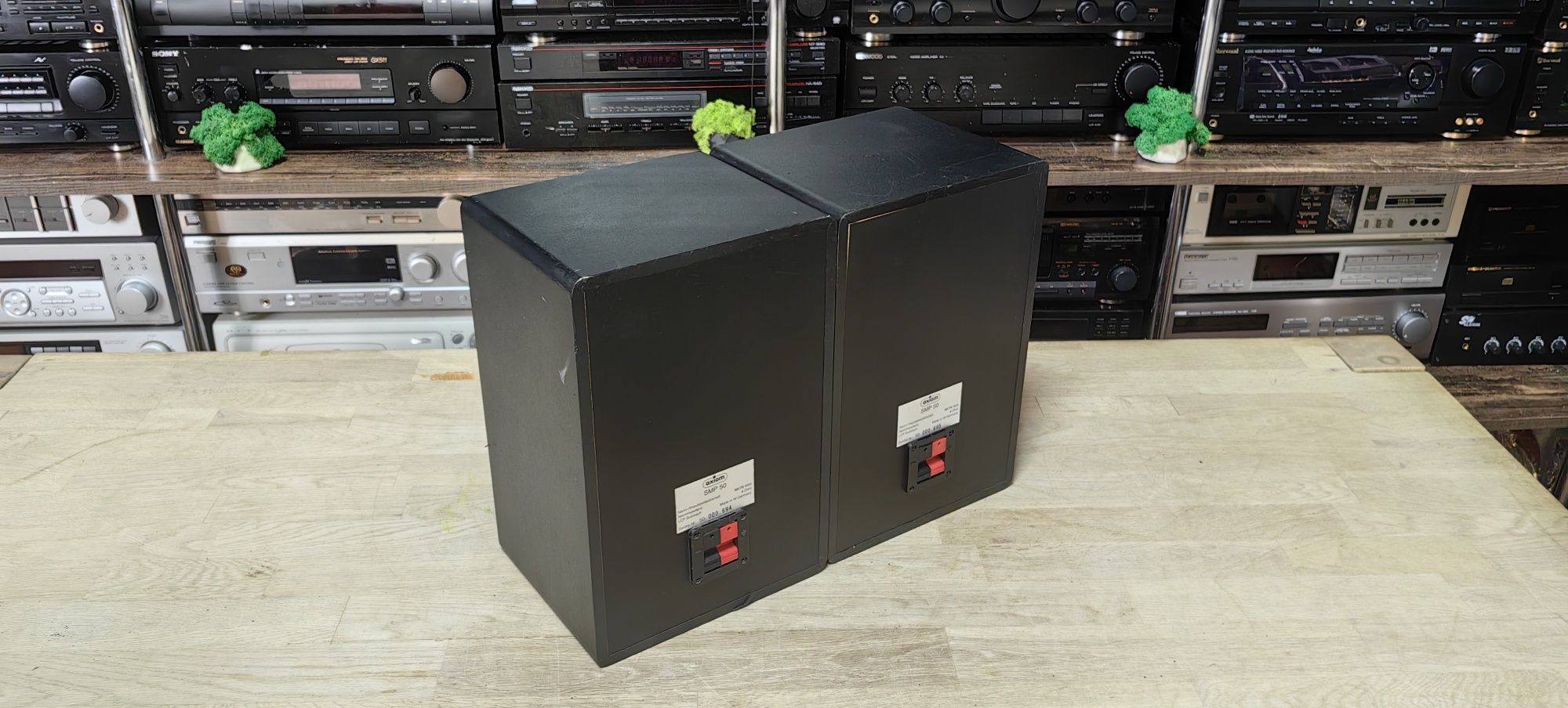 2-х полосна акустика Axiom SMP 50/4Ω