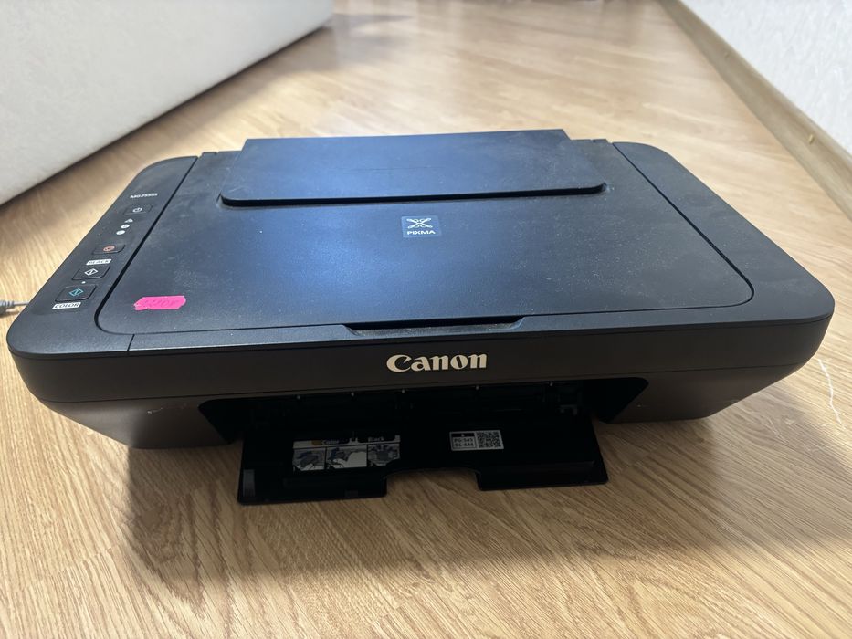 Принтер Canon MG2555S