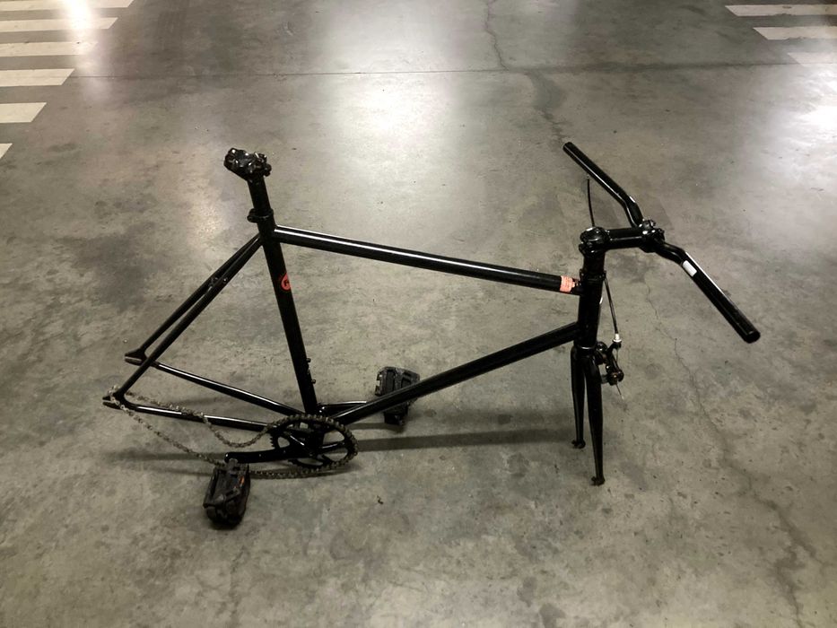 Fuji Declaration Quadro Fixie