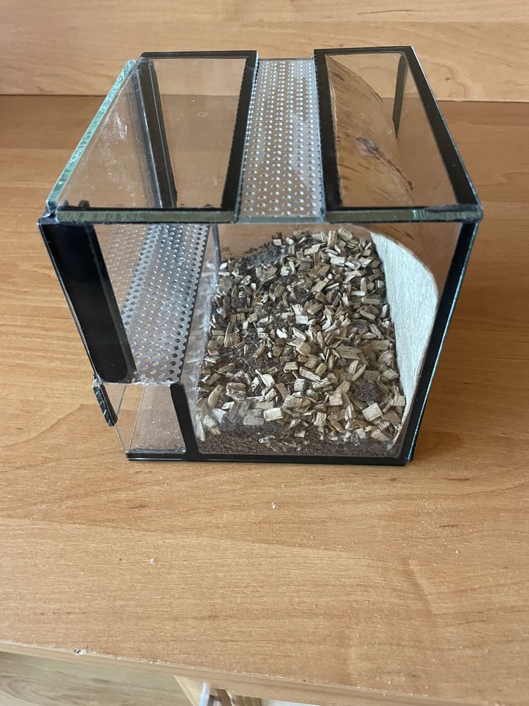 Terrarium szklane z tłem
