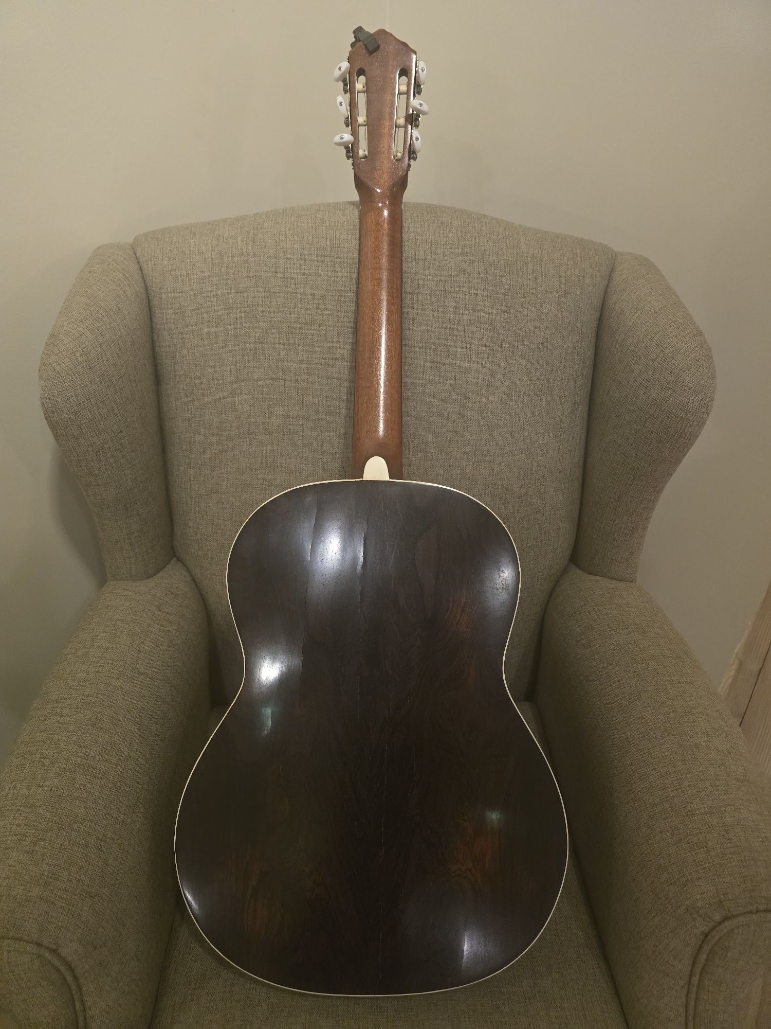 Viola de Fado João Pedro Gracio Junior