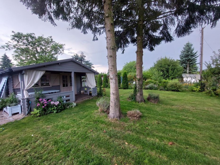 Działka ROD Zlote Piaski Siedlce