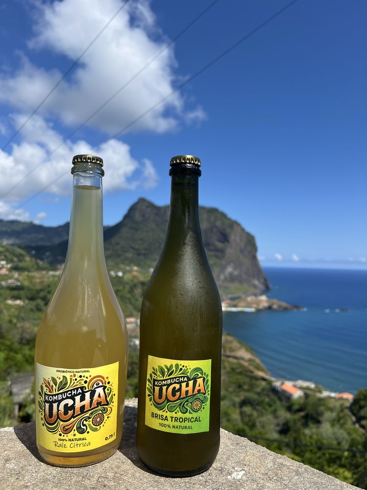 Kombucha Artesanal