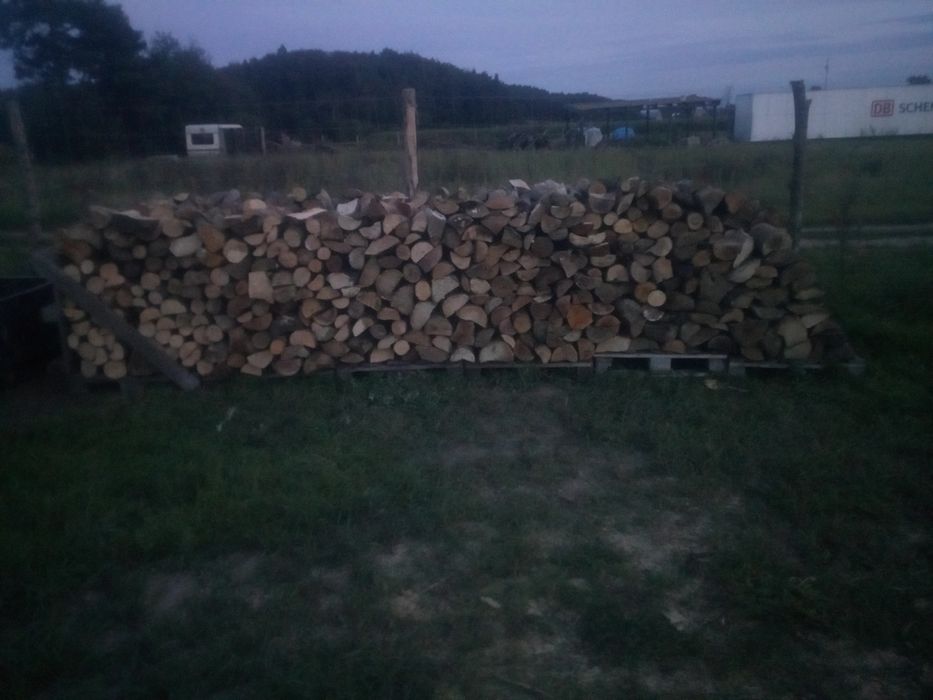 Drewno bukowe opałowe buk drzewo z transportem