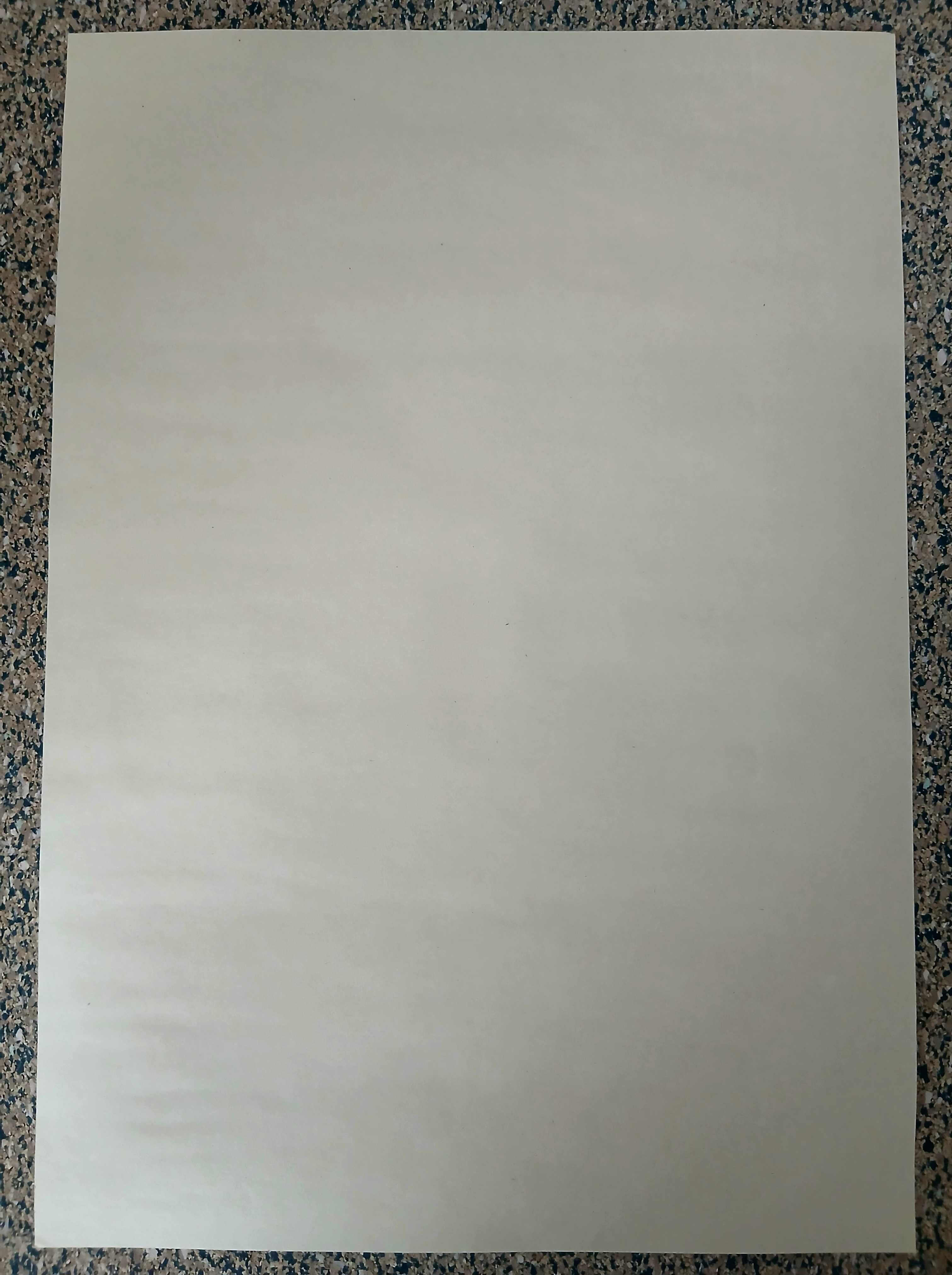 Poster - Back to the Future (papel kraft, formato A3)