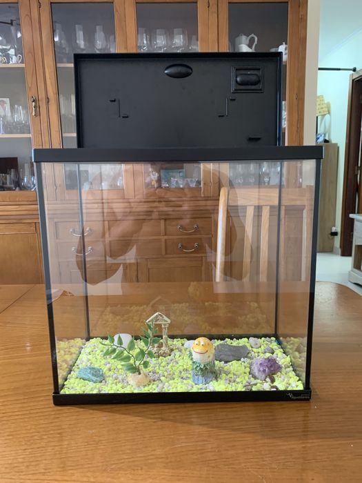 Aquário 15 Litros com Filtro, Termometro e Acessórios